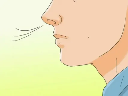 Your Nose as an Indicator of Approaching Death: Unveiling the Subtle Signals