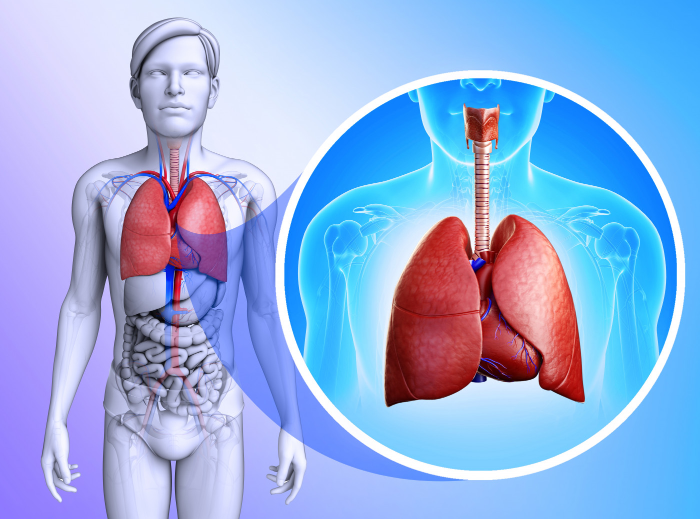 How To Purify Your Lungs In 72 Hours